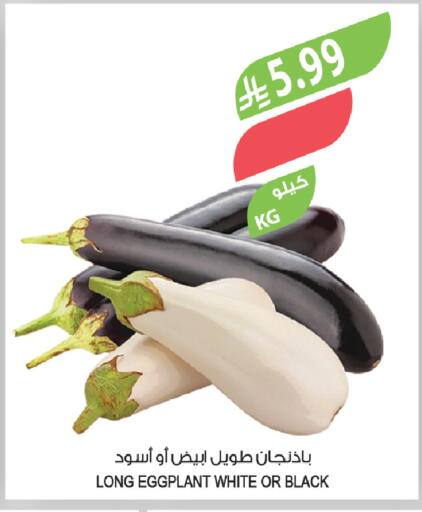 Eggplant available at Farm  in KSA, Saudi Arabia, Saudi - Al Khobar