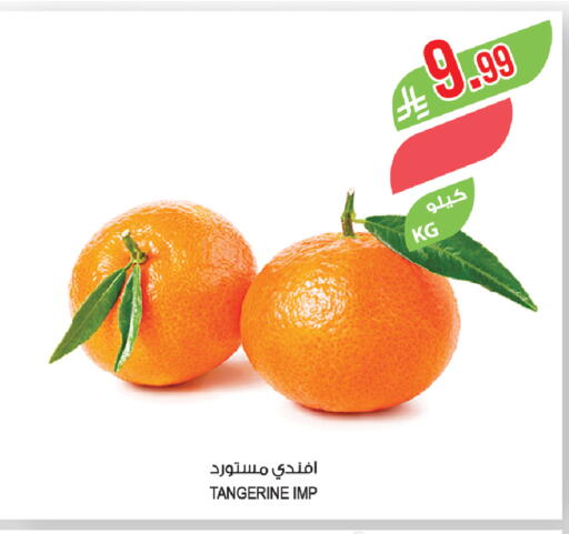 available at المزرعة in مملكة العربية السعودية, السعودية, سعودية - تبوك