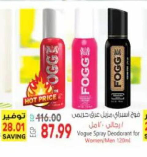 available at New.Penny.market in Egypt - Cairo