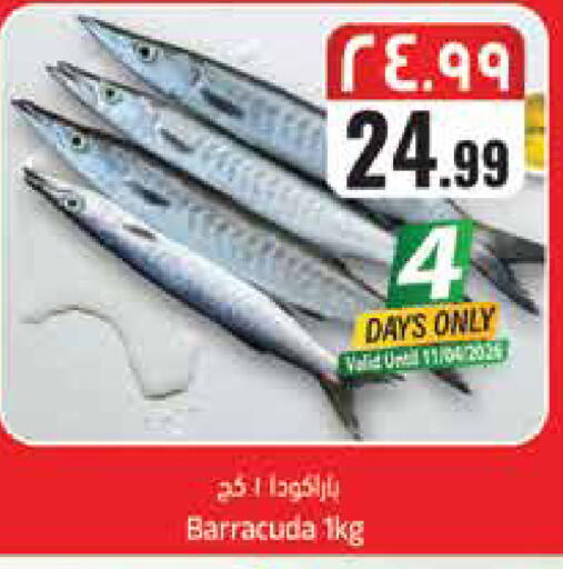 available at ستي فلاور in مملكة العربية السعودية, السعودية, سعودية - سكاكا