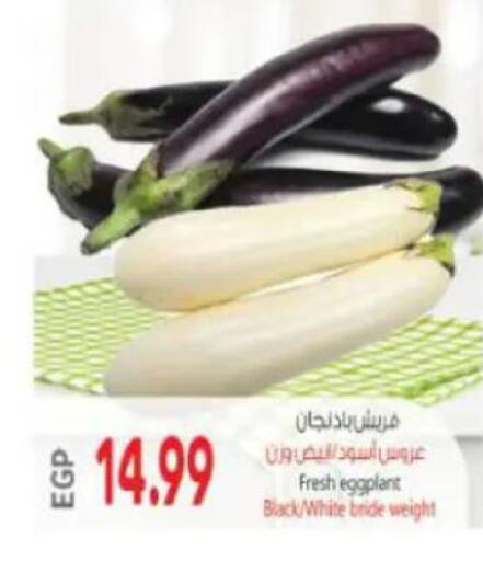 Eggplant available at New.Penny.market in Egypt - Cairo