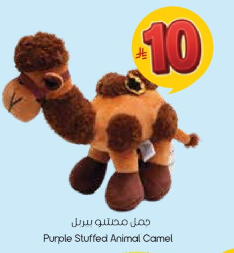 available at ستي فلاور in مملكة العربية السعودية, السعودية, سعودية - نجران