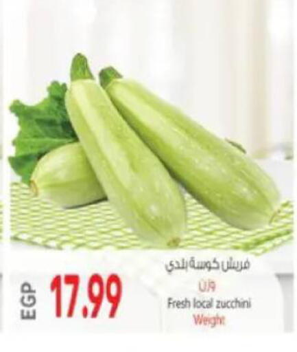 Zucchini available at New.Penny.market in Egypt - Cairo