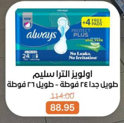 available at Beit El Gomla in Egypt - Cairo