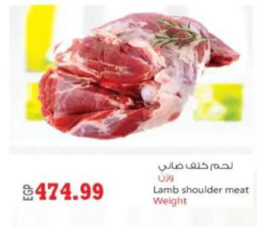 available at ماركت بني الجديد in Egypt - القاهرة