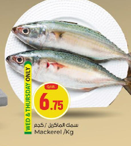 available at باريس هايبرماركت in قطر - الريان