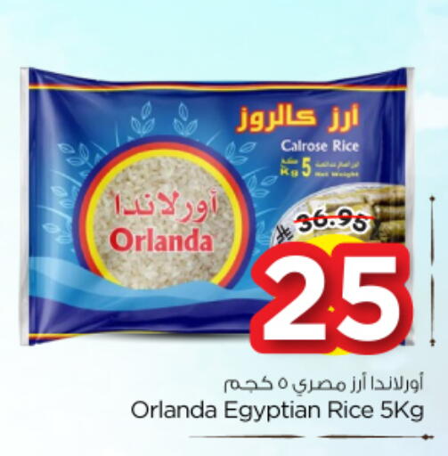 available at Nesto in KSA, Saudi Arabia, Saudi - Al-Kharj