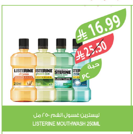 Mint available at Farm  in KSA, Saudi Arabia, Saudi - Qatif