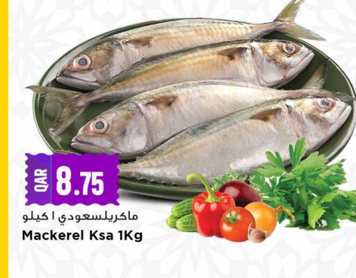 available at مرزا هايبرماركت in قطر - الشحانية