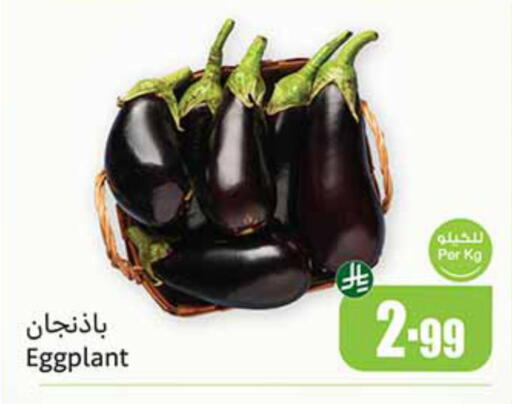 Eggplant available at أسواق عبد الله العثيم in مملكة العربية السعودية, السعودية, سعودية - حفر الباطن