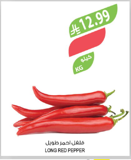 Pepper available at Farm  in KSA, Saudi Arabia, Saudi - Al Khobar