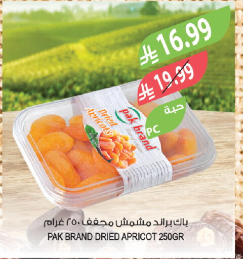 Apricot available at Farm  in KSA, Saudi Arabia, Saudi - Saihat
