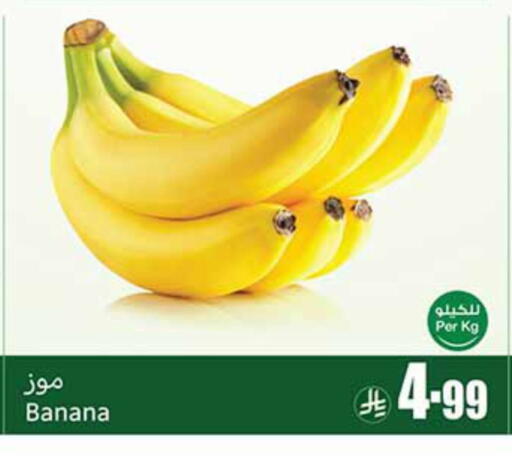 Banana available at أسواق عبد الله العثيم in مملكة العربية السعودية, السعودية, سعودية - الباحة