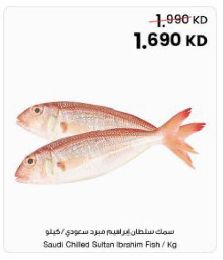 available at The Sultan Center in Kuwait - Kuwait City