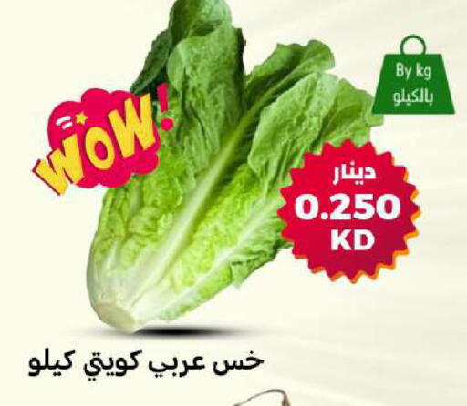 available at شركة سوق ميم المركزي  in الكويت - مدينة الكويت