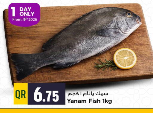 available at Marza Hypermarket in Qatar - Al Shamal