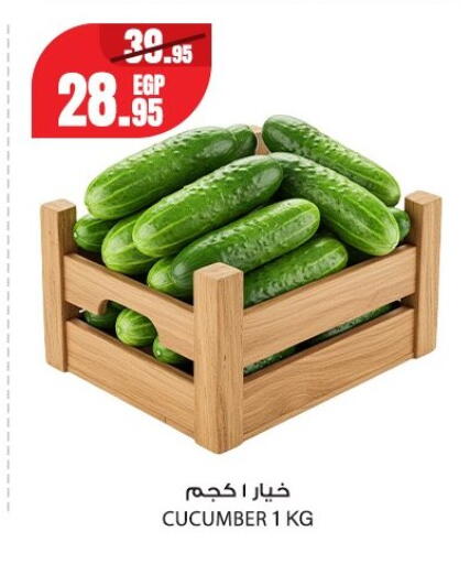 Cucumber from Egypt available at Géant Egypt in Egypt - Cairo
