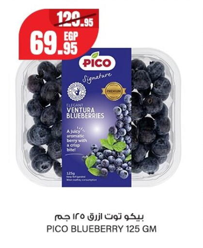 Blueberry BlueBerry from Egypt available at Géant Egypt in Egypt - Cairo