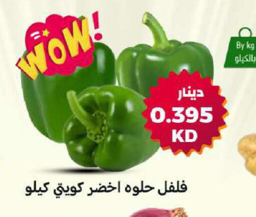 available at شركة سوق ميم المركزي  in الكويت - مدينة الكويت