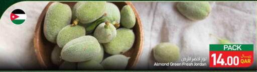 available at ســبــار in قطر - الخور