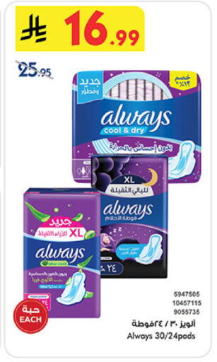 available at بن داود in مملكة العربية السعودية, السعودية, سعودية - المدينة المنورة