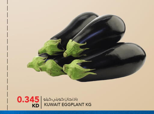Eggplant from Kuwait available at  ALNASSER HYPERMARKET in Kuwait - Ahmadi Governorate