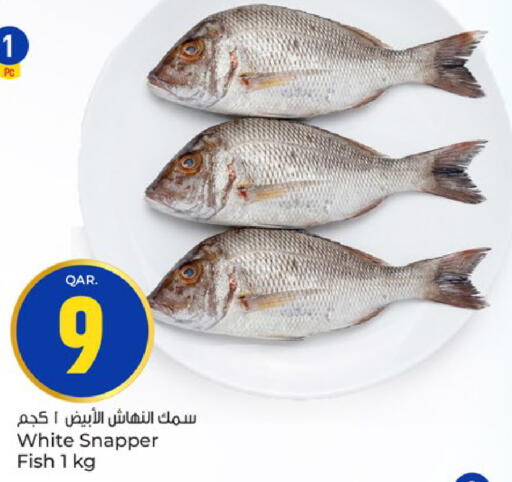 available at باريس هايبرماركت in قطر - الخور