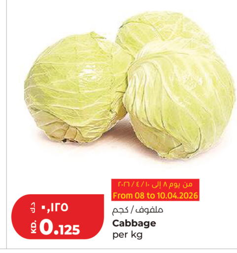 Cabbage available at Lulu Hypermarket  in Kuwait - Ahmadi Governorate