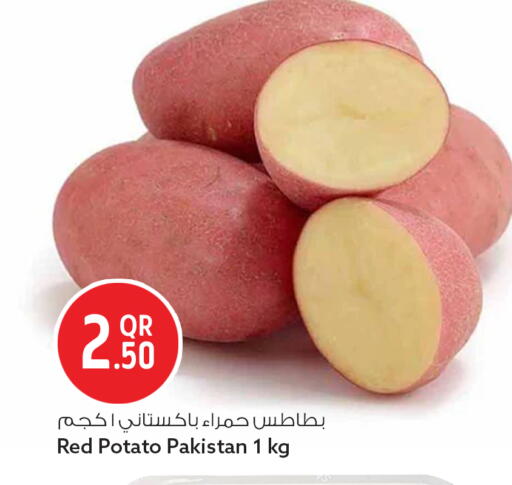 Potato available at سفاري هايبر ماركت in قطر - الشمال