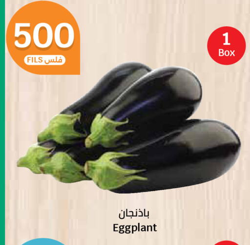 Eggplant available at City Hypermarket in Kuwait - Ahmadi Governorate