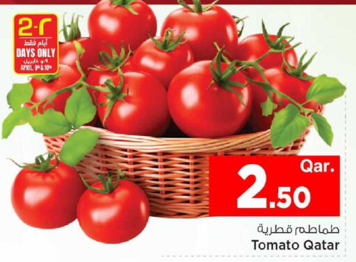 Tomato from Qatar available at مارك & سيف in قطر - الدوحة