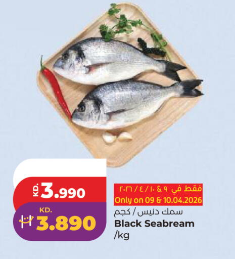 available at لولو هايبر ماركت in الكويت - مدينة الكويت