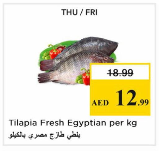 available at نستو هايبرماركت in الإمارات العربية المتحدة , الامارات - دبي