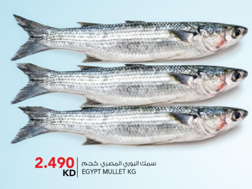 available at  ALNASSER HYPERMARKET in Kuwait - Kuwait City