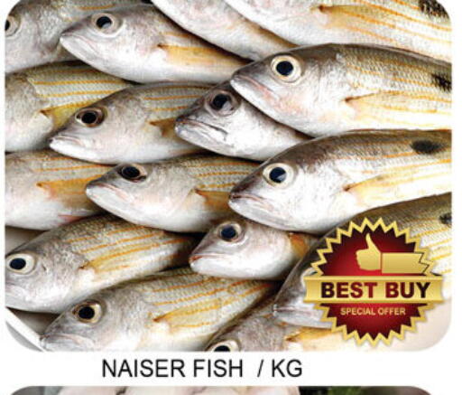 available at Lucky Center in UAE - Sharjah / Ajman