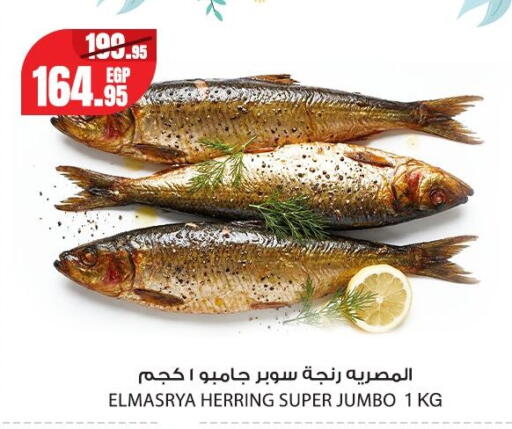 available at Géant Egypt in Egypt - Cairo