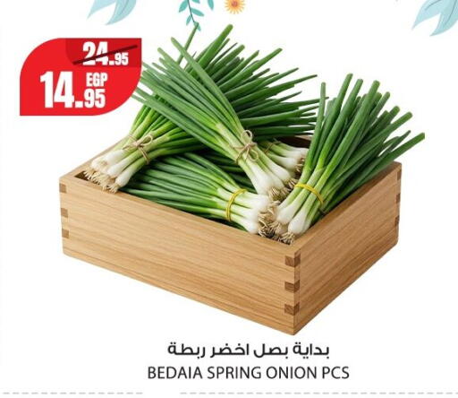 Onion from Egypt available at Géant Egypt in Egypt - Cairo