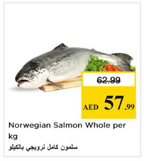 available at نستو هايبرماركت in الإمارات العربية المتحدة , الامارات - أبو ظبي