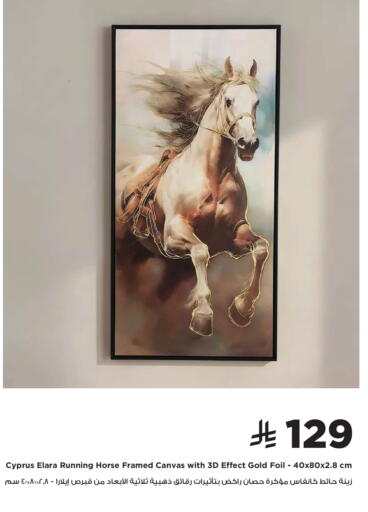 available at هوم بوكس in مملكة العربية السعودية, السعودية, سعودية - نجران