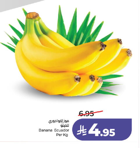 Banana from Ecuador available at لولو هايبرماركت in مملكة العربية السعودية, السعودية, سعودية - جدة