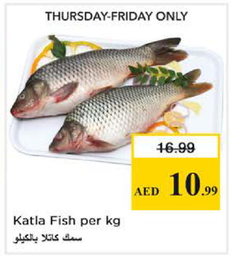 available at نستو هايبرماركت in الإمارات العربية المتحدة , الامارات - أبو ظبي