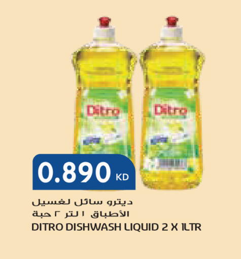 available at جراند كوستو in الكويت - مدينة الكويت