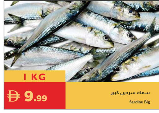 available at إسطنبول سوبرماركت in الإمارات العربية المتحدة , الامارات - رَأْس ٱلْخَيْمَة