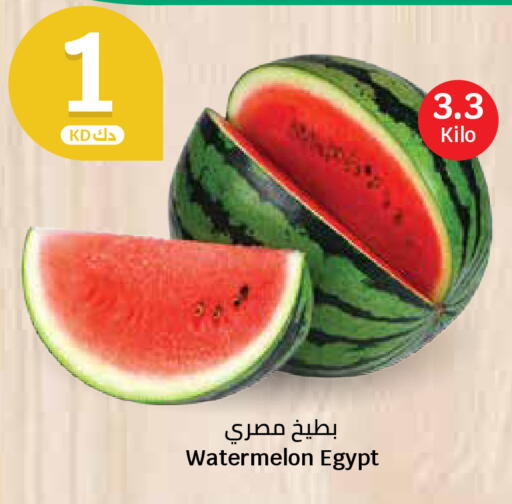 Watermelon from Egypt available at سيتي هايبرماركت in الكويت - محافظة الأحمدي