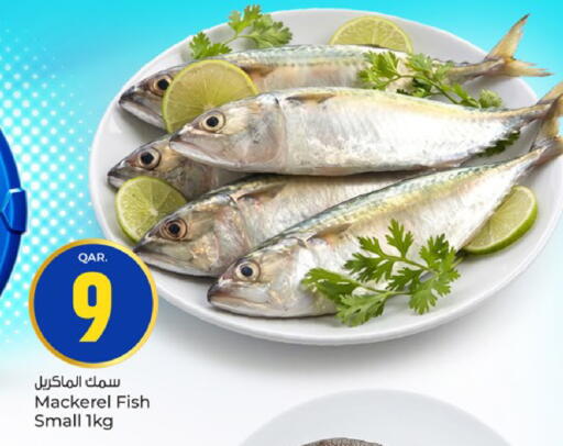 available at باريس هايبرماركت in قطر - الخور