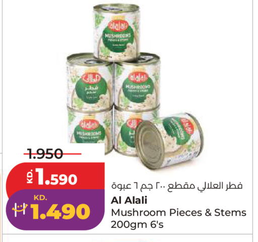 Mushroom available at Lulu Hypermarket  in Kuwait - Kuwait City