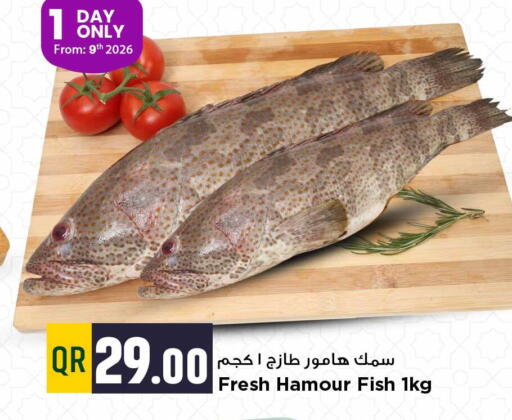 available at Marza Hypermarket in Qatar - Al Shamal