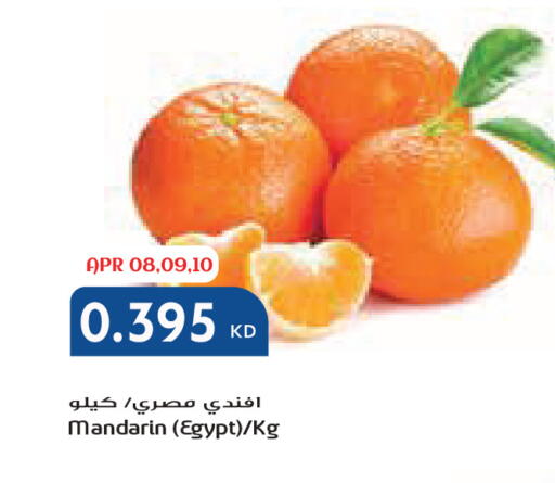 Mandarin from Egypt available at جراند كوستو in الكويت - محافظة الأحمدي