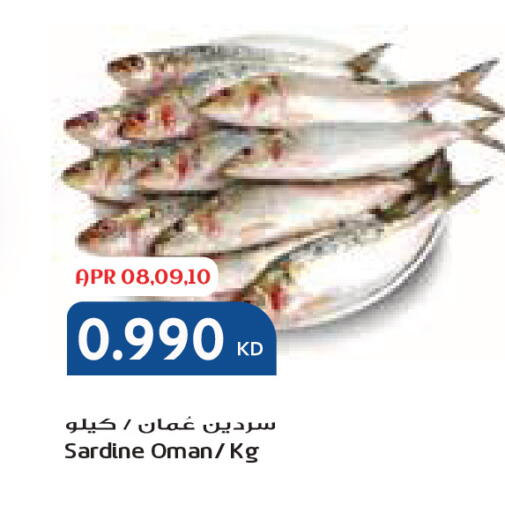 available at جراند كوستو in الكويت - محافظة الأحمدي