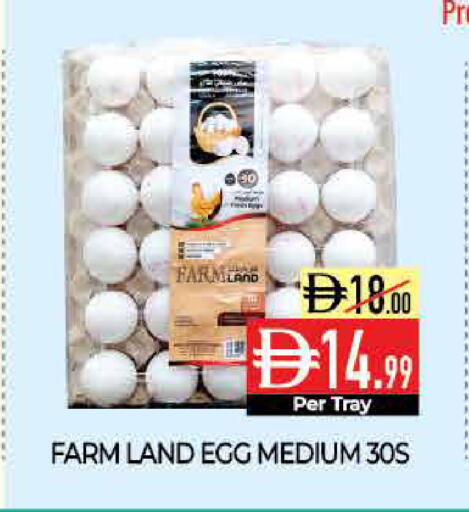 available at Delice Supermarket in UAE - Abu Dhabi